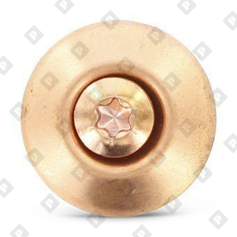 Art. 9089 A2-Cu 4,5X60 TX20 - №3