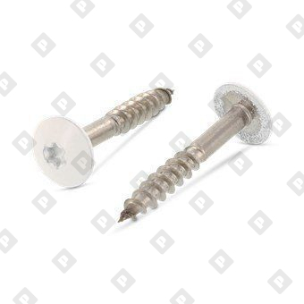 Art. 9086 A2 4,8X38 TX20  RAL 9010 - №1