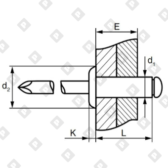 Заклепка вытяжная открытая 4x12 со стандартным бортом, окрашенная RAL 9003 белый сигнальный, алюминий / оц. сталь - №2